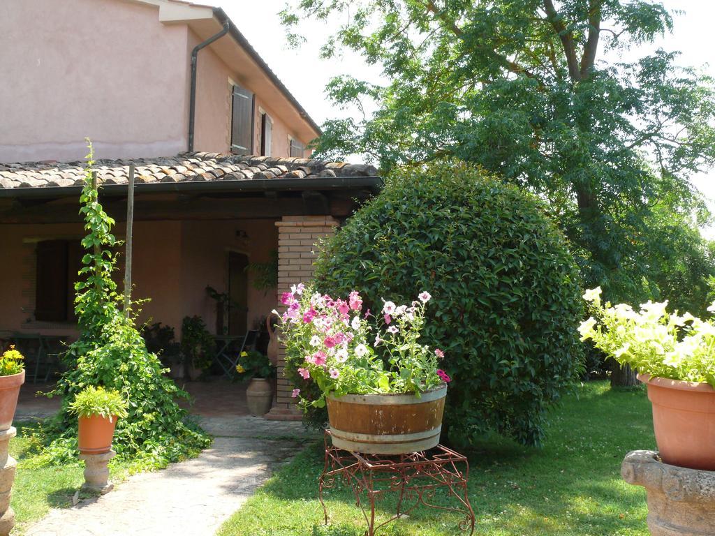 מרסיליאנה Agriturismo Da Lorena מראה חיצוני תמונה