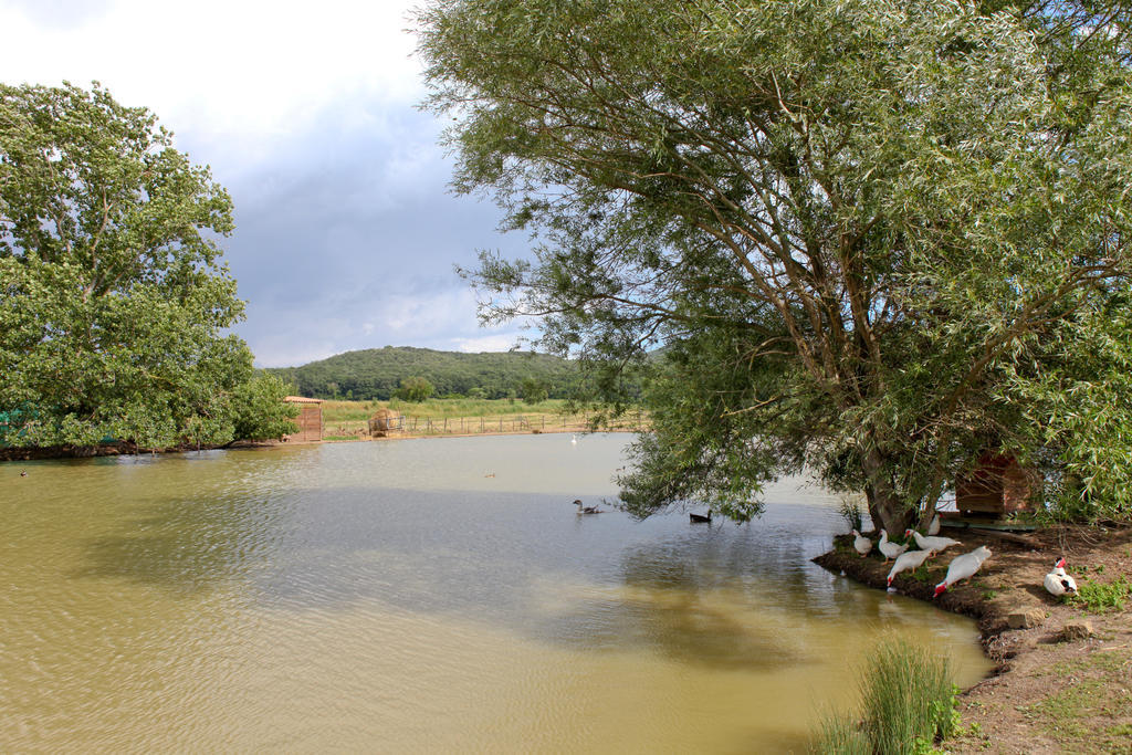 מרסיליאנה Agriturismo Da Lorena מראה חיצוני תמונה