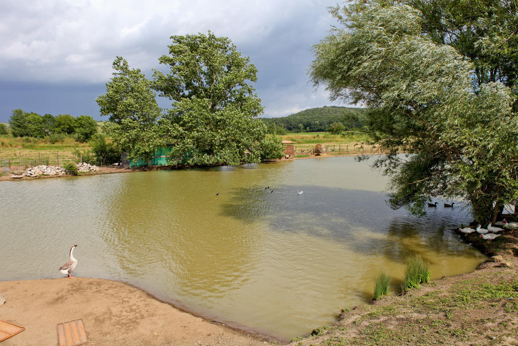 מרסיליאנה Agriturismo Da Lorena מראה חיצוני תמונה